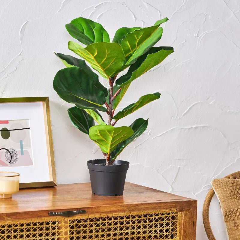 GDFStudio Stilwell kunstmatige ficus Lyrata-boom 2' x 1', groen